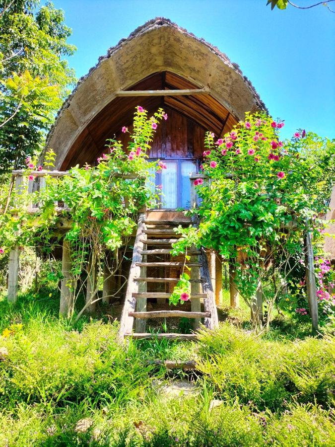 Rice Straw Green Lodge- Resort Quan Tom Екстериор снимка